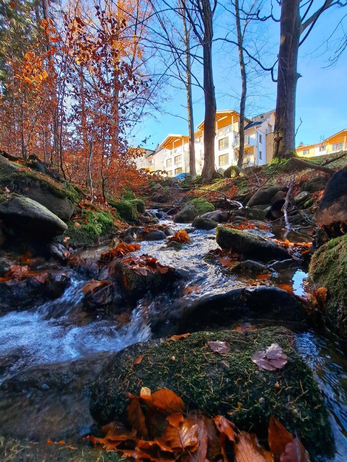 Apartamenty Nad Zlotym Potokiem Szklarska Poręba Buitenkant foto